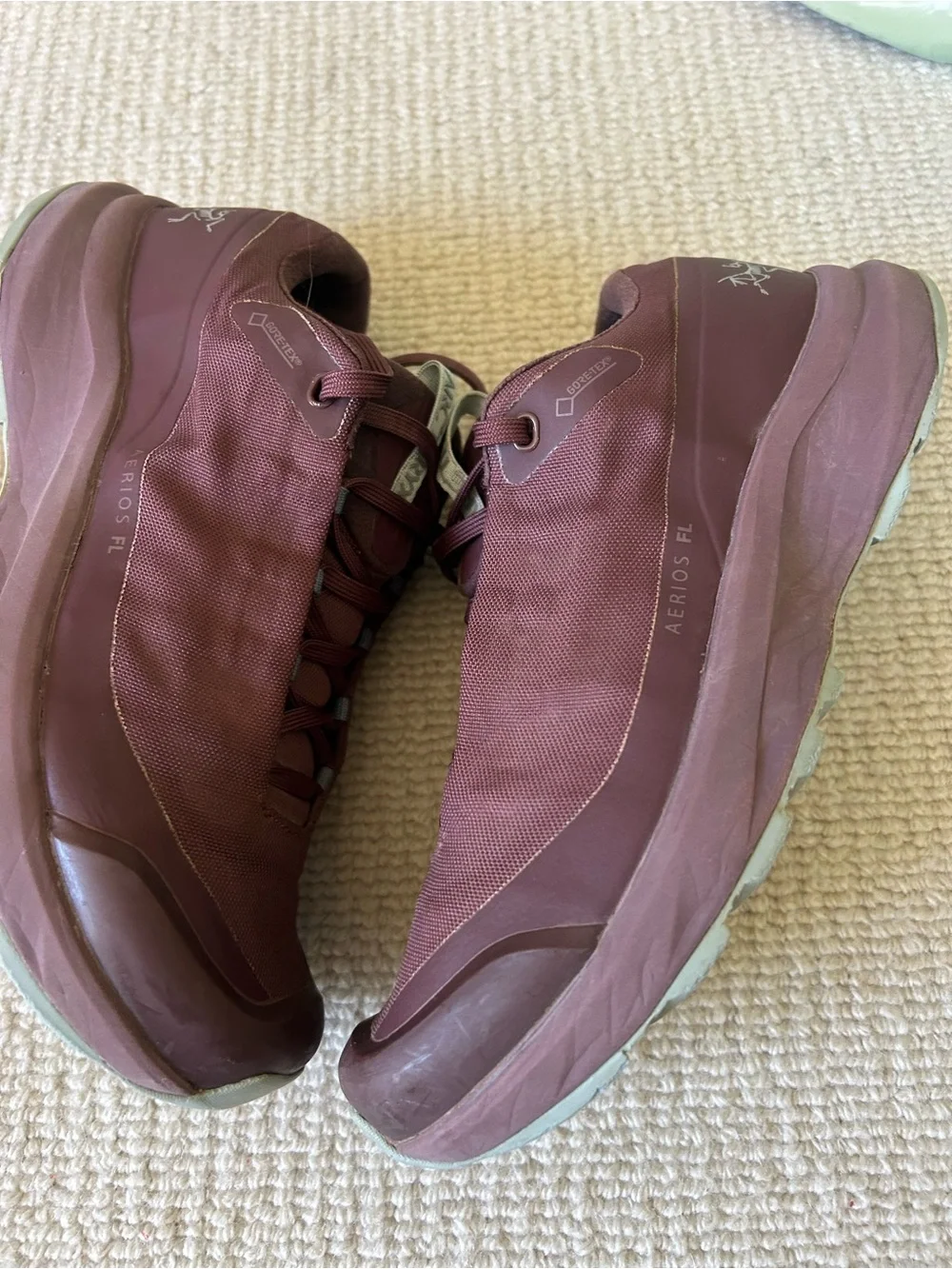 Arc'teryx Men's Maroon Low-Profile Trail Sneakers